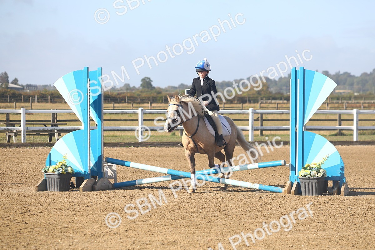 SBM_004731 - Class 2 - 40cm Champs