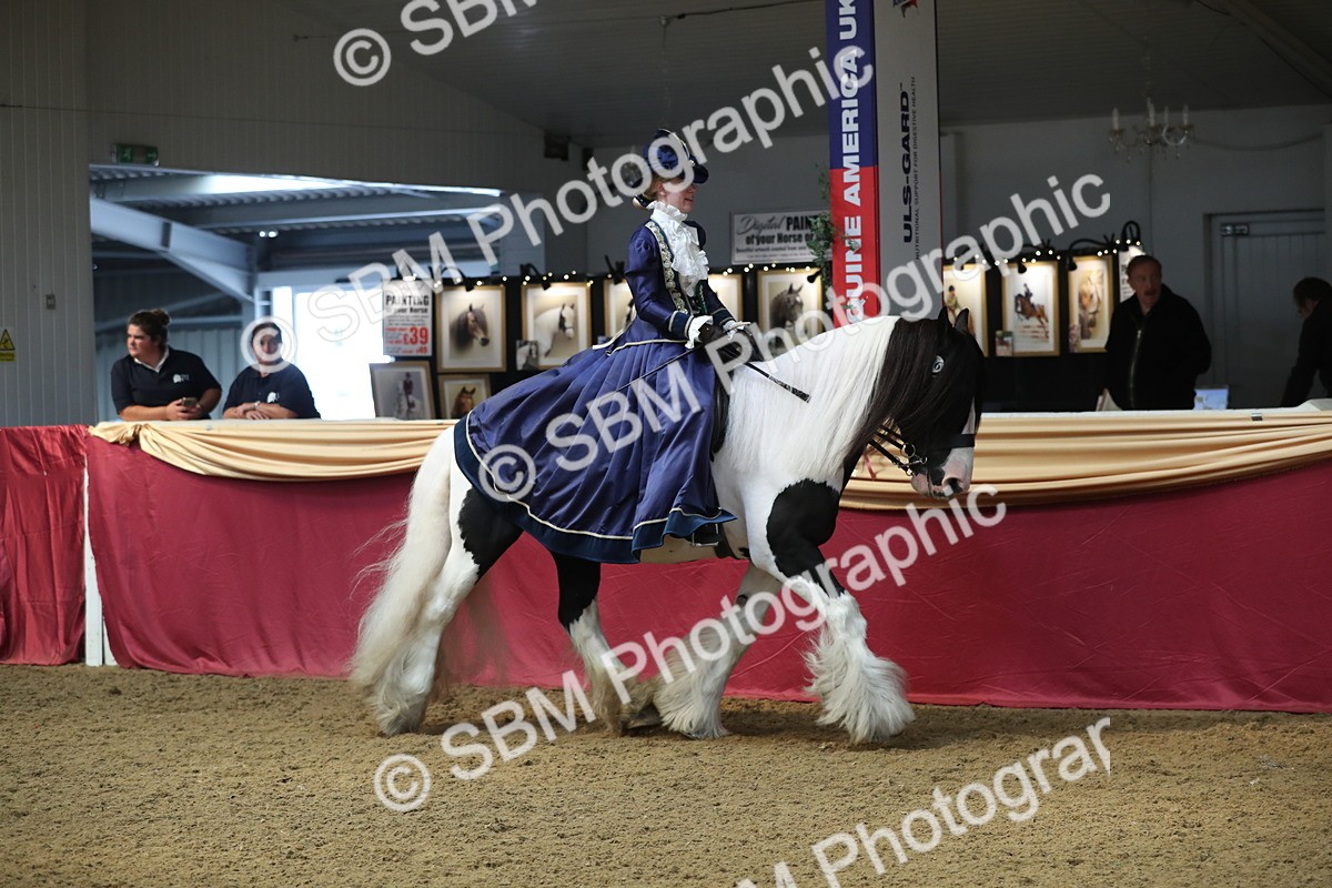 SBM_12092 - Class 106 Ridden Costume- Astride Adult (15-19)