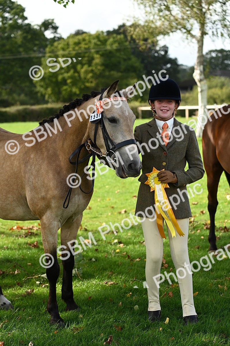 SBM_25063 - S5 - Novice & Newcomer In hand