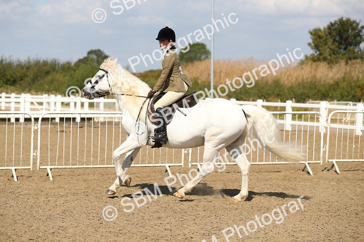 SBM_03154 - Class 44 Riding Club Horse/ Pony