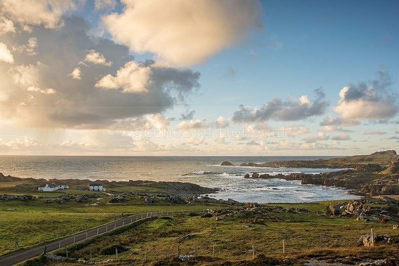 DSC_1261 - North Inishowen