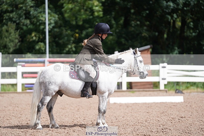 240809A-105018-00679 - Dressage Competition