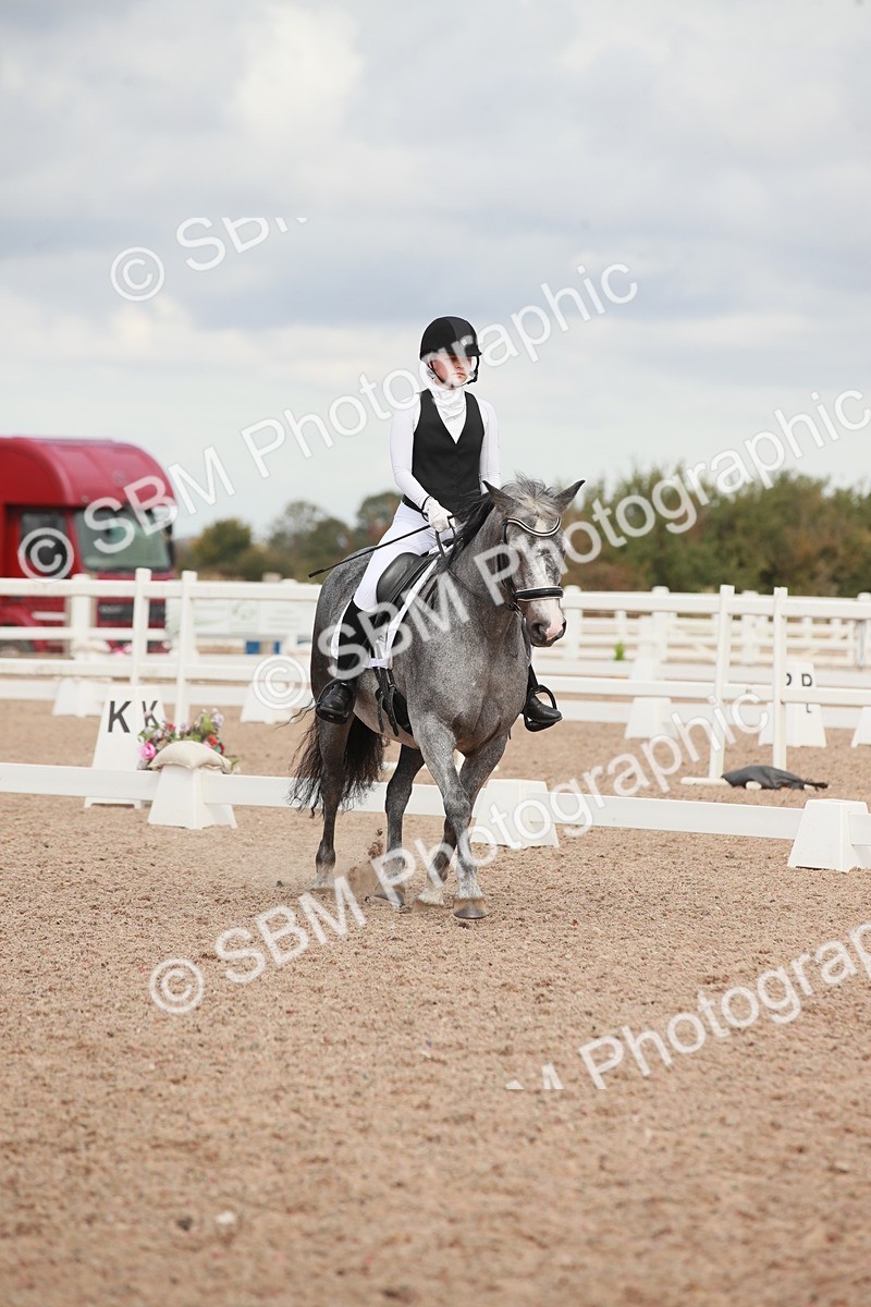 SBM_03931 - Class 31 - Prelim 1