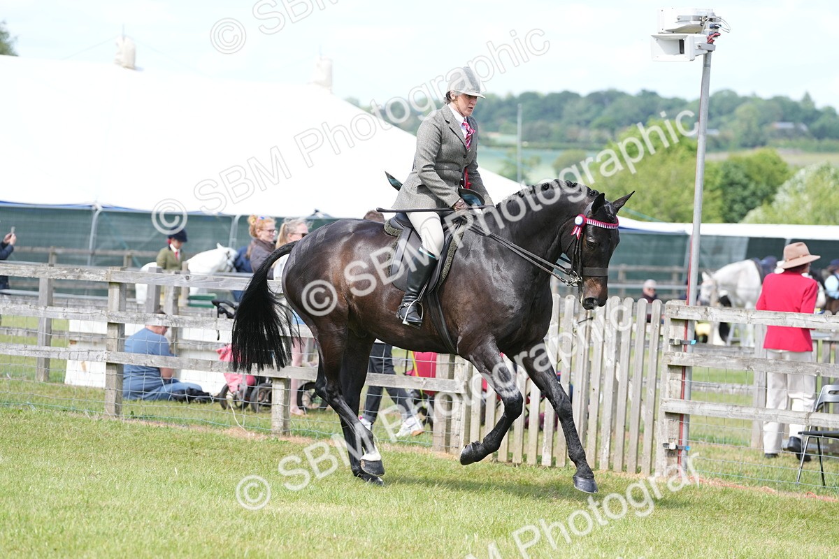 SBM_16299 - Class 105-106 - RIHS Riding Horses