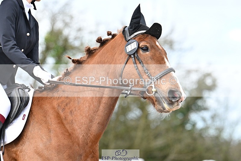 240324A-115224-01318 - Prelim 13