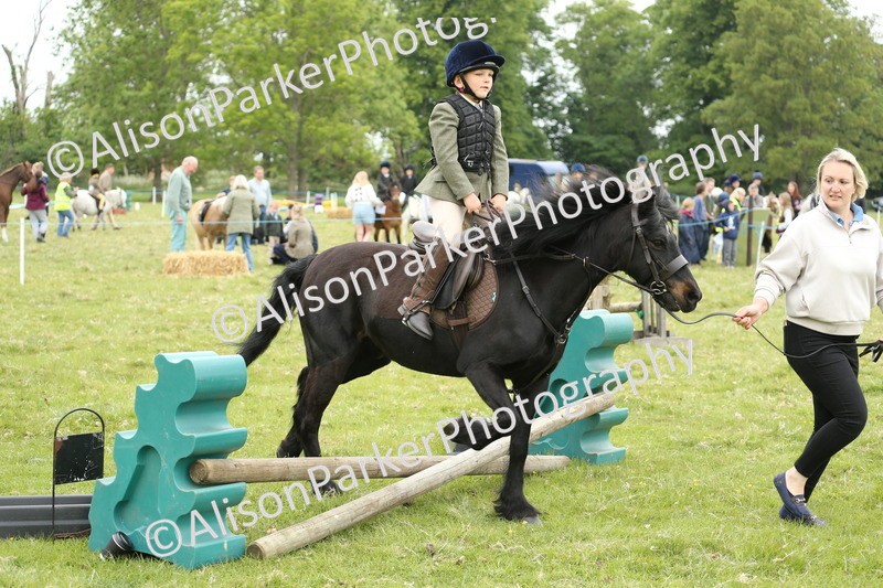 20250517-0462 - Class 20 - Beginners Working Hunter