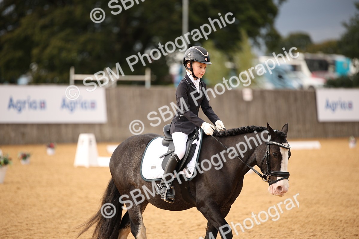 SBM_12284 - D3 Small  Tour Championship Intro A