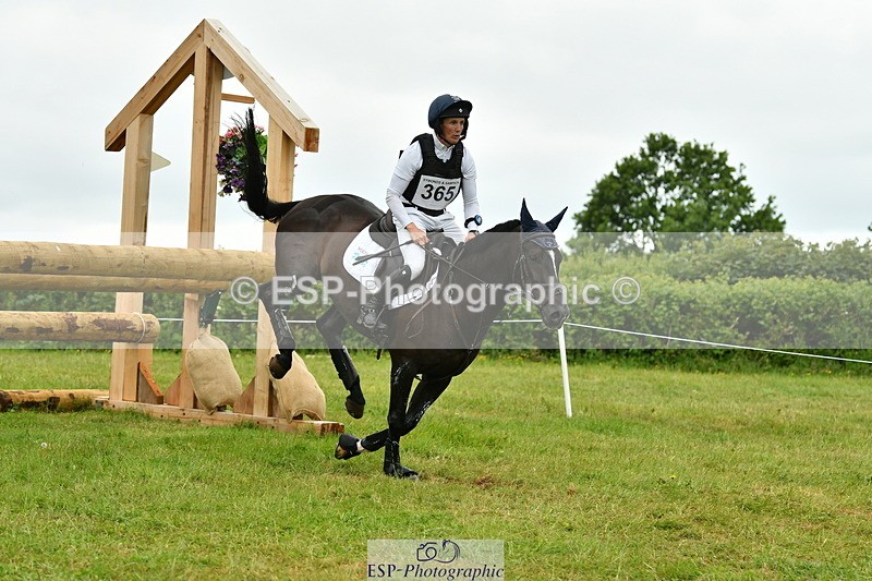 250524A-131231-10520 - B-365-Tom.McEwen-MAESTRO