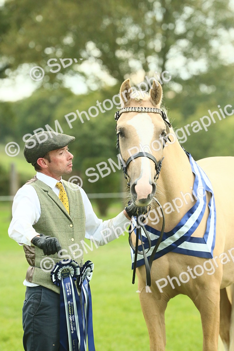 SBM_75256 - Super Supreme Championship