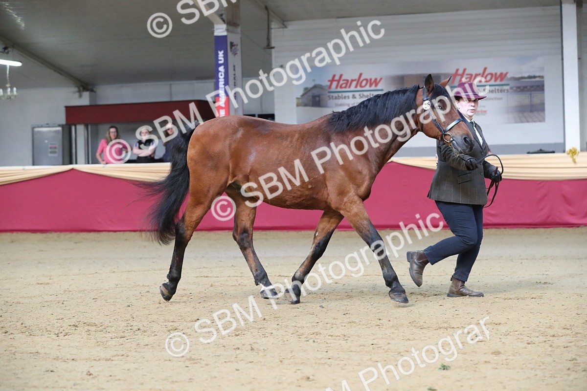 SBM_00307 - Class 1a - Area IH Diamond