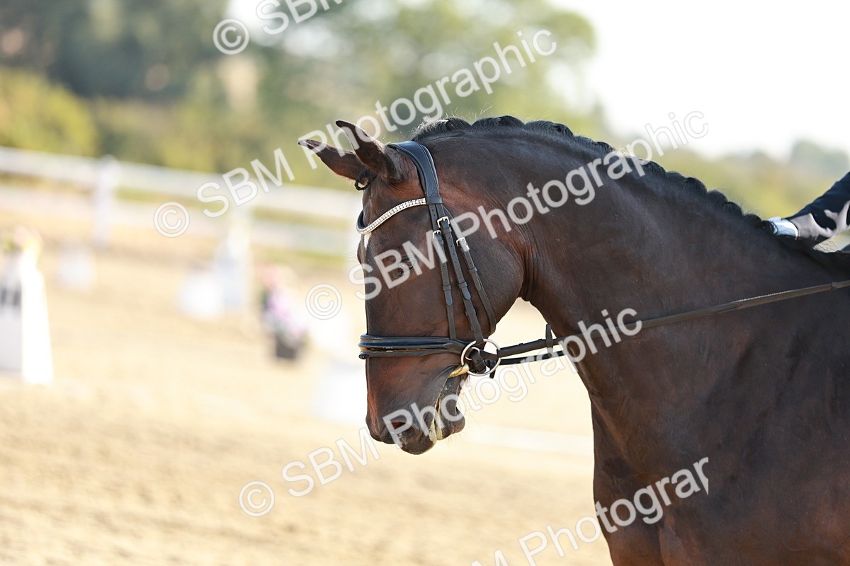 SBM_016861 - Class 10 - N5 Silver 9.33.10.29