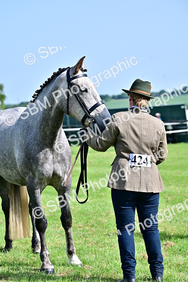 SBM_03325 - Class 50 - 54 Light Horse Breeding