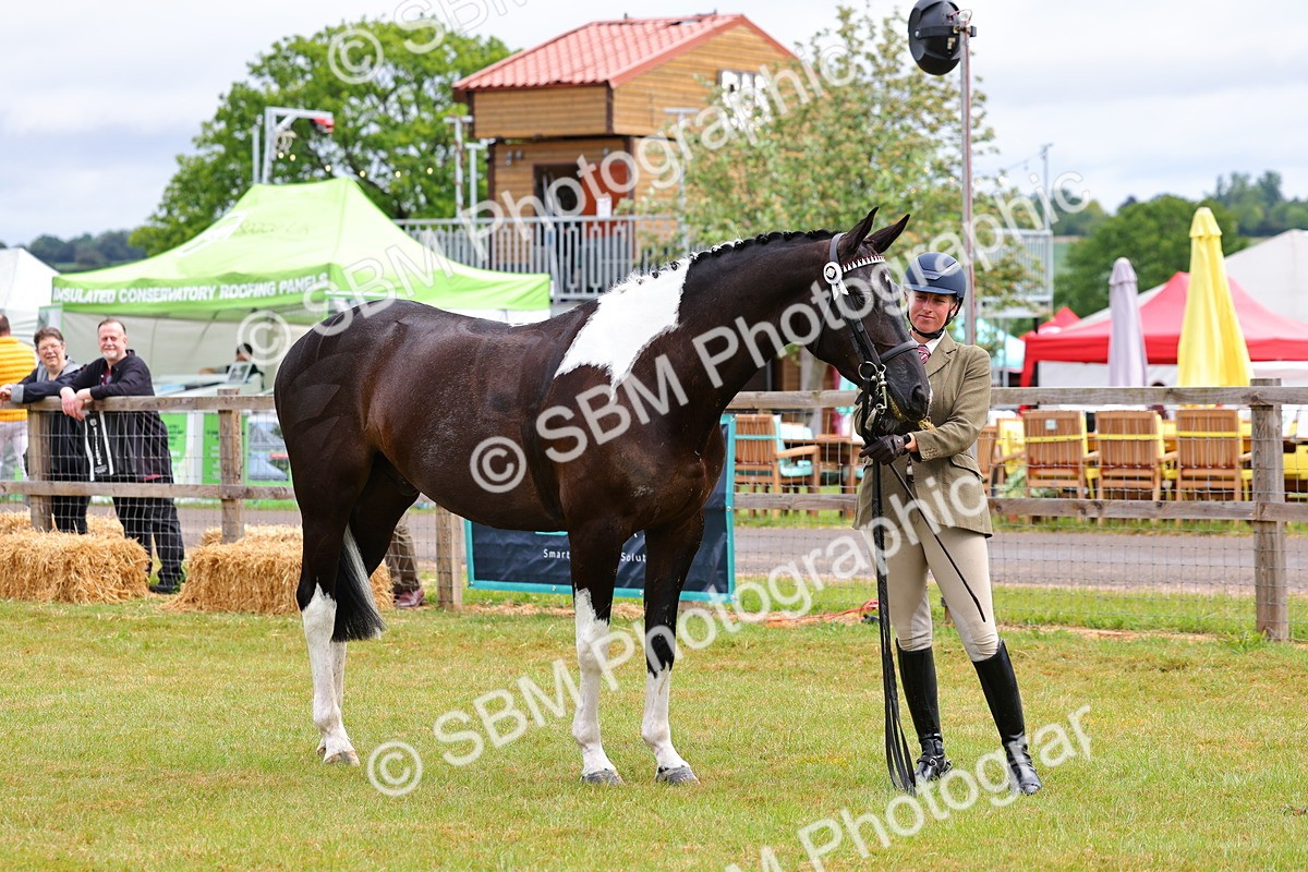 SBM_02541 - Class 9-11 Side Saddle including LIHS Rising Star Ladies Show Horse