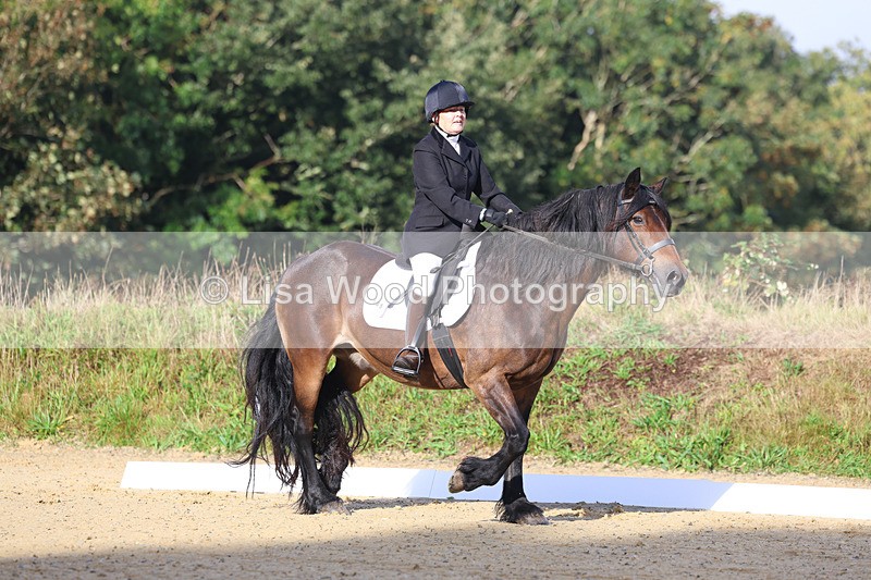 3E7A1856 - Class 1: Intro 4 2024 section A