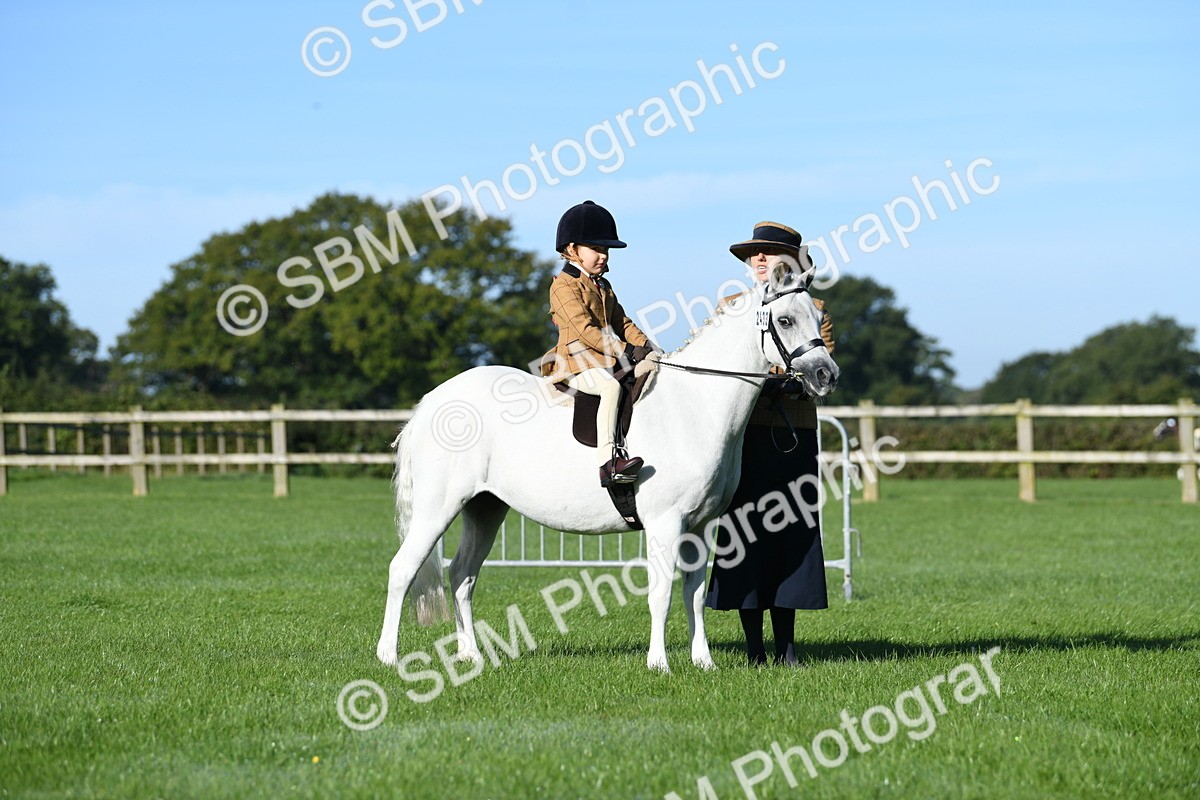 SBM_35370 - S17 - Condition & Turnout - Lead Rein
