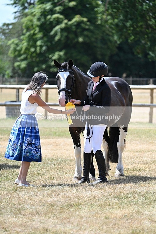 WJ7_2048 - Class 4a Prettiest Mare 14.2hh and over hand
