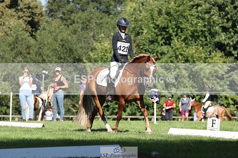 250823A-103607-27741 - Arena D