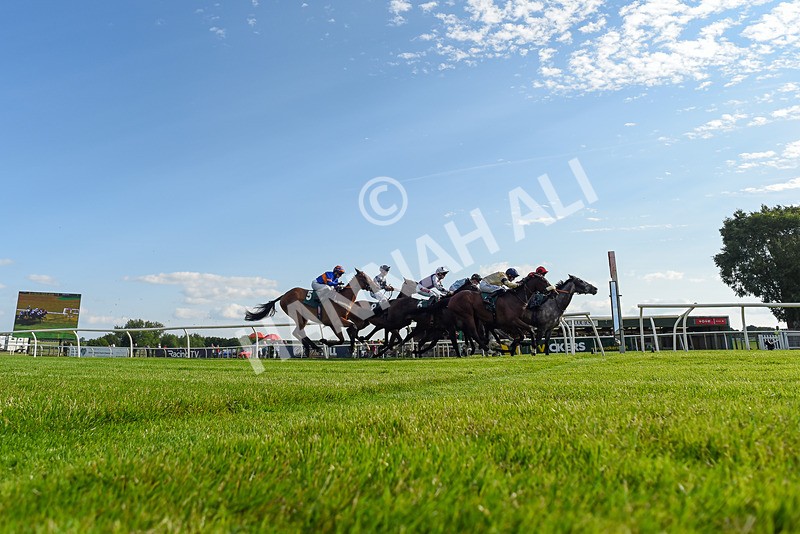 100625-Race 3-Stellarmasterpiece-4529 - Race 3