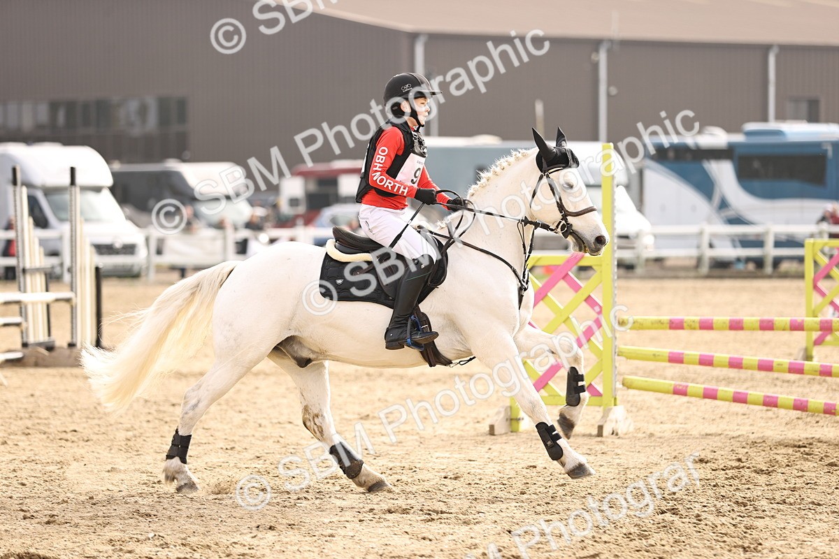 SBM_003031 - Class 2 - 80cm