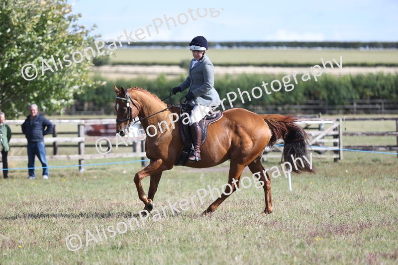 20250831-0901 - Class 14 - Ex Racehorse