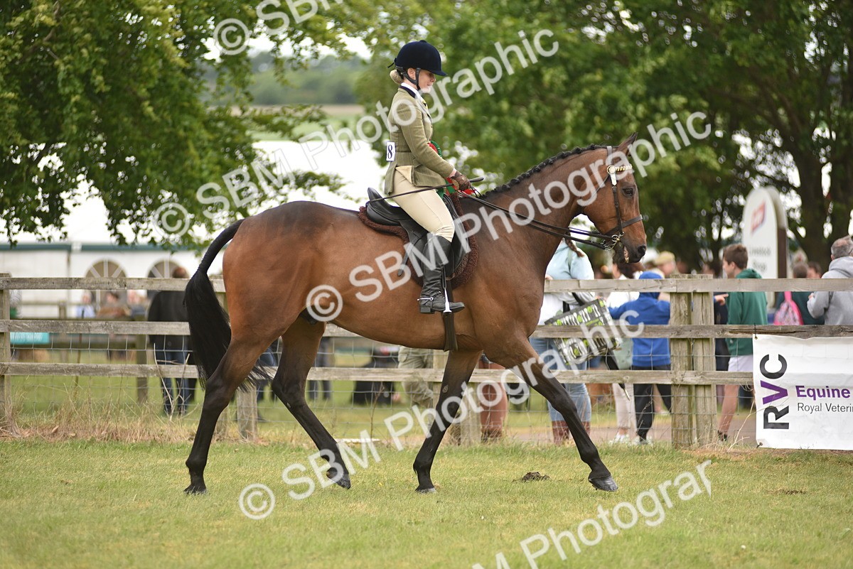 SBM_14270 - Class 113-114 - Retraining of Racehorses Ridden