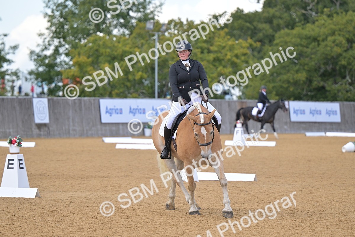 SBM_11139 - D3 - Small Tour Championship Intro 3