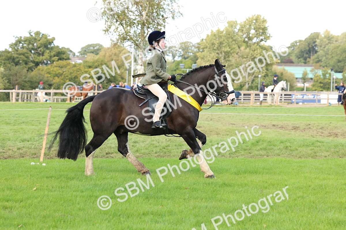 SBM_46342 - Working Hunter Pony Supreme Championship