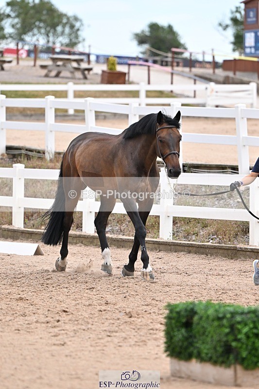 250716-135902-00839 - Trot Up 1.30 to 2.30