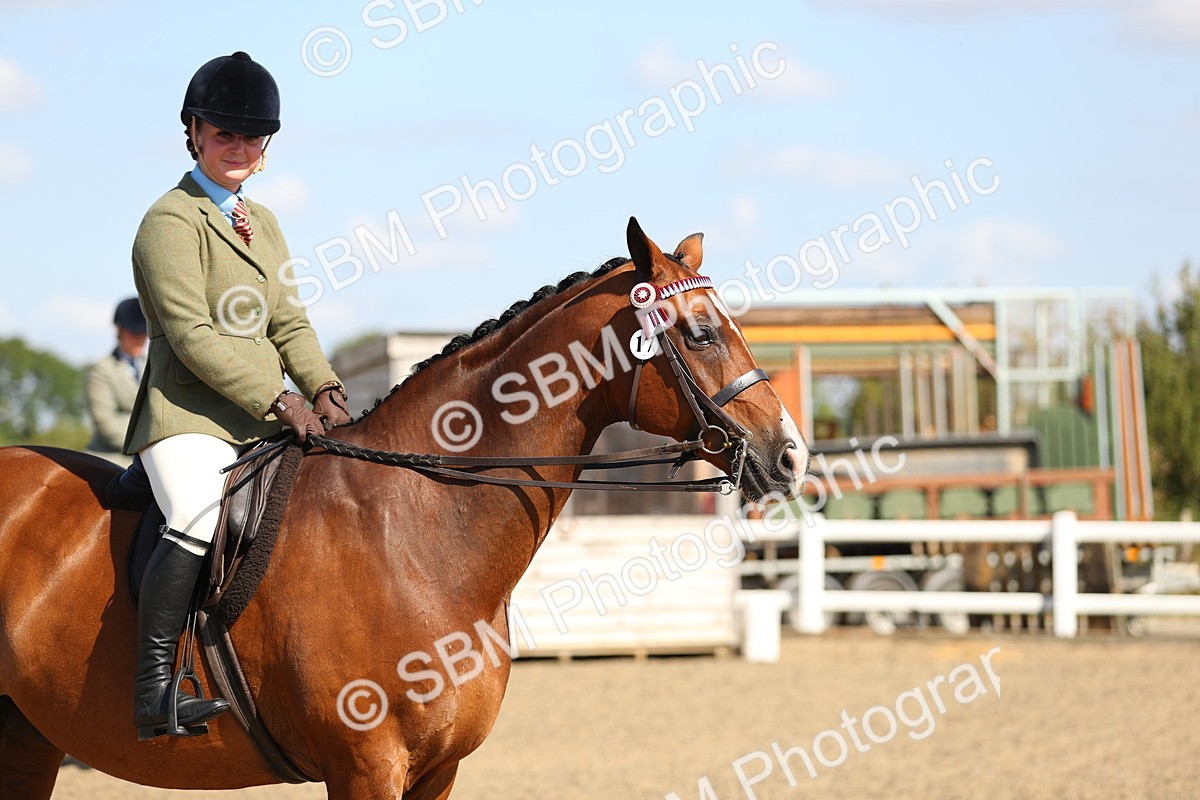 SBM_02351 - Class 43 Ridden Competition Horse/Pony