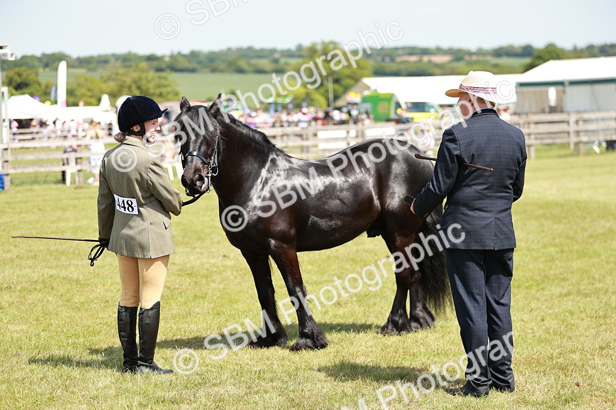 SBM_07174 - Class 26-30 - Mountain and Moorland Ridden