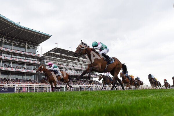 yr18082022r5-23 - Race 5 4.10pm British EBF & Sir Henry Cecil Galtres Stakes
