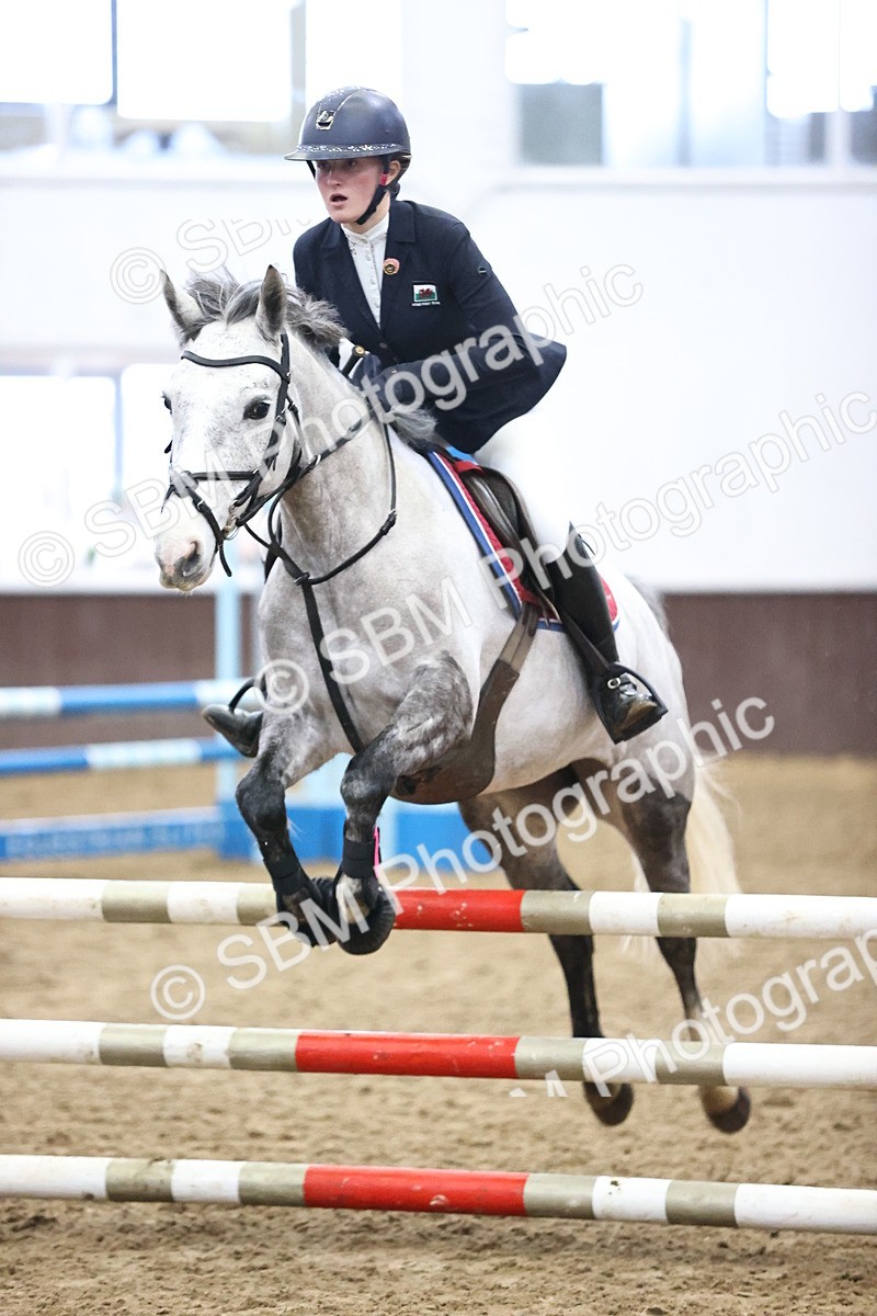 SBM_000416 - Class 2 - Pony British Novice - 80cm