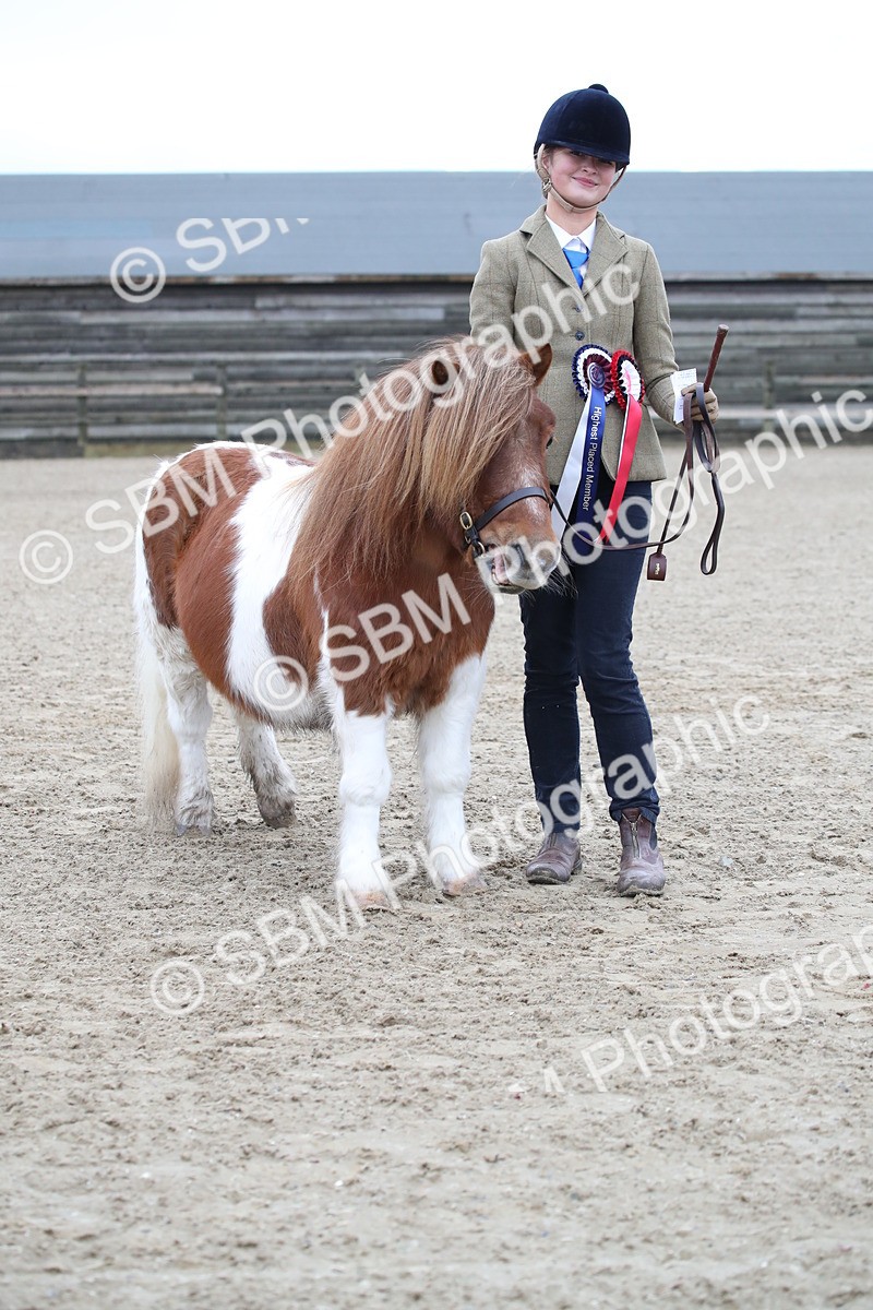 SBM_003946 - Class 1-4 - Young Stock classes Inc. In Hand Championship