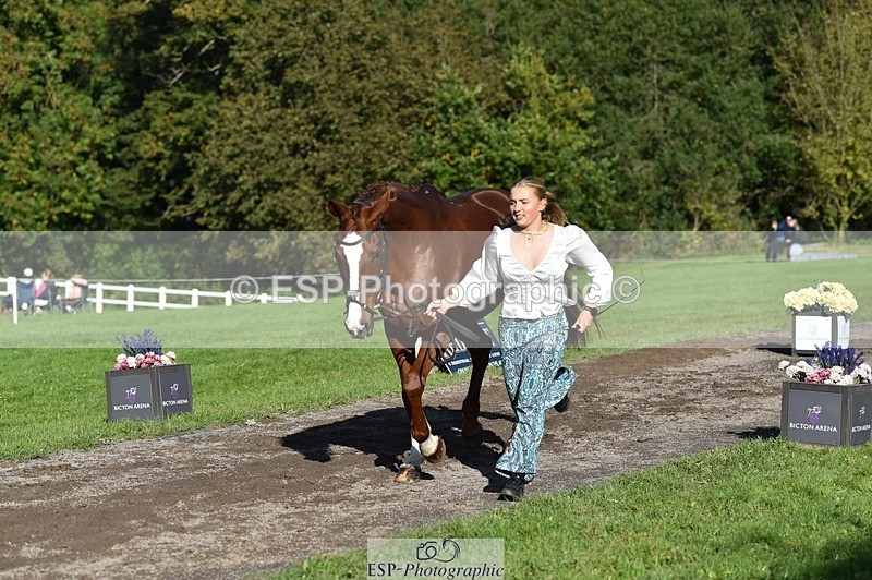 231022-111524-23841 - 564-JANA.DE.CAVAIGNAC-Rosie.Kendall-TrotUp+SJ