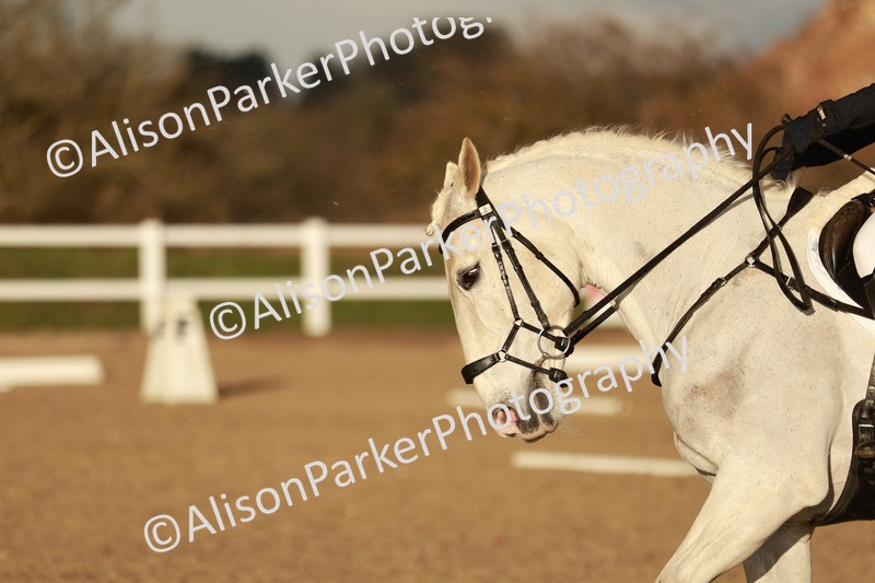 20260314-6396 - CT7 - Elementary 2