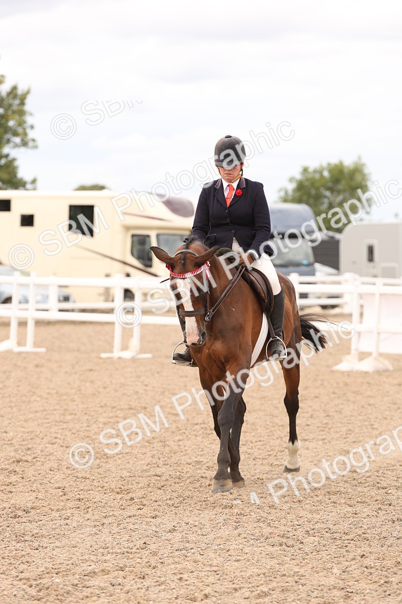 SBM_17335 - Class 214 - Ridden Hack Riding Horse