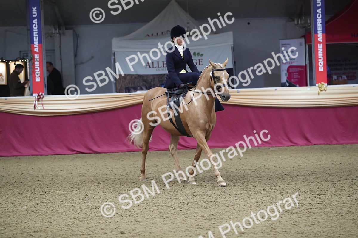 SBM_09338 - Class 101 Equitation (best rider), Junior
