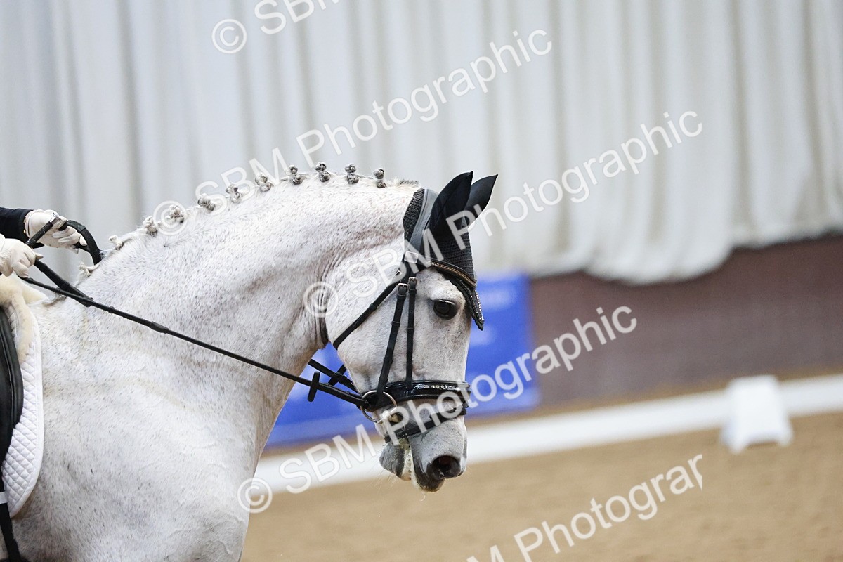 SBM_004545 - Ring 3 - International -  Working Hunter Classes 23-2-25