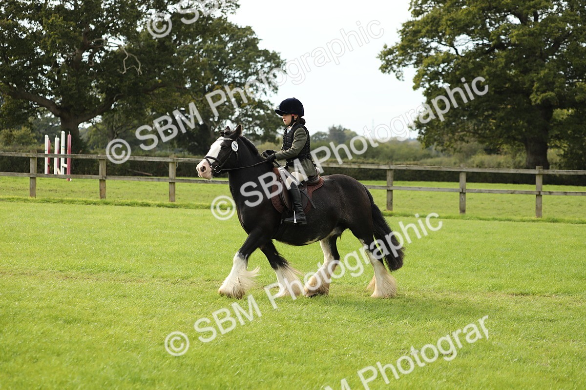 SBM_71514 - S41 - Ridden Equitation (Best Rider)