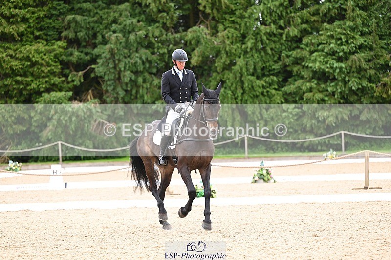 240524-093826-07932 - 507-DASSETT_ROCK_STAR-Tom_D_Crisp