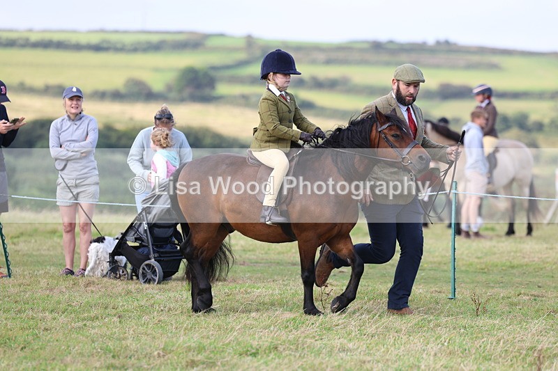 3E7A3546 - Class 2: Lead rein