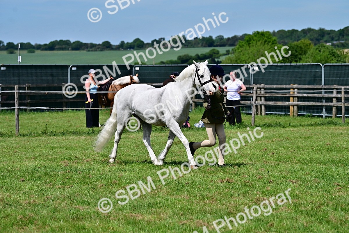 SBM_07823 - Class 61-62 - TSR  M&M Ridden Amateur of the Year