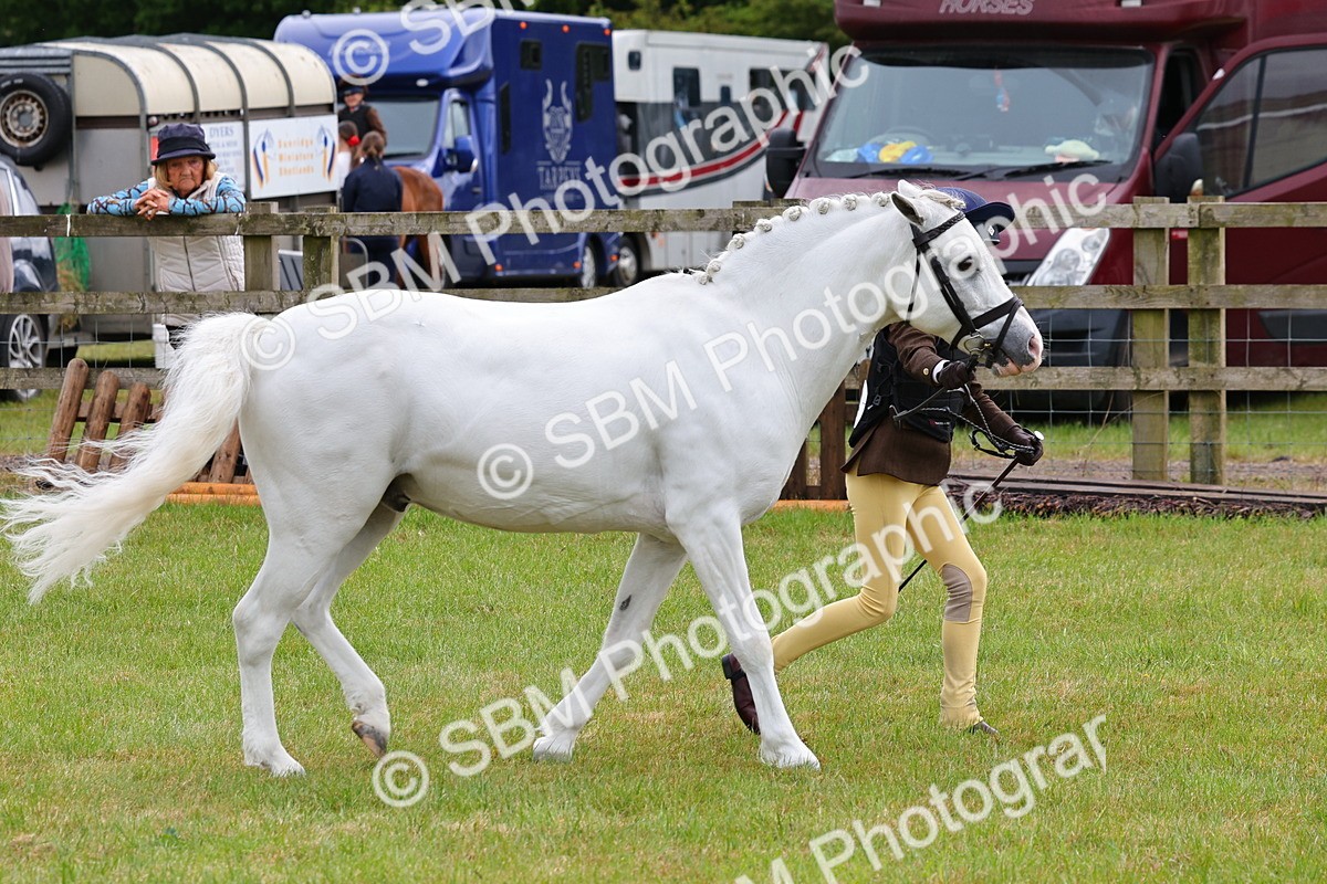 SBM_09608 - Class 44-45 - LIHS BSPS Open Nursery and Cradle Stakes