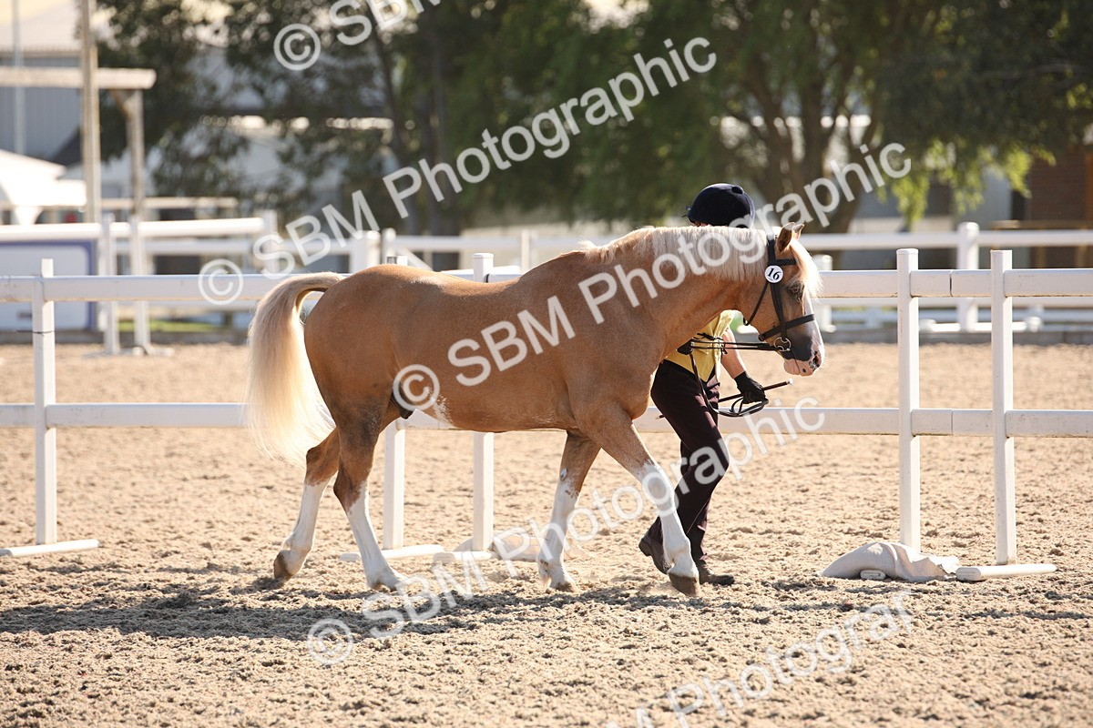 SBM_01435 - Class 15 IH Coloured