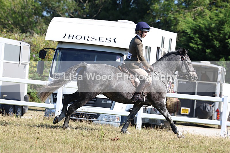 3E7A5530 - Class 3: Working Hunter 70cm
