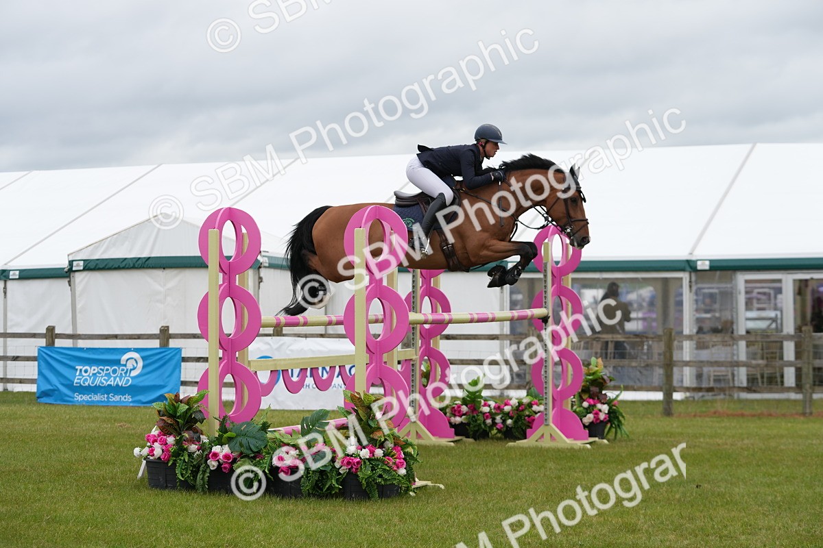 SBM_03256 - Class 201 - British Horse Feeds Speedi Beet Horse of the Year Show Grade  C