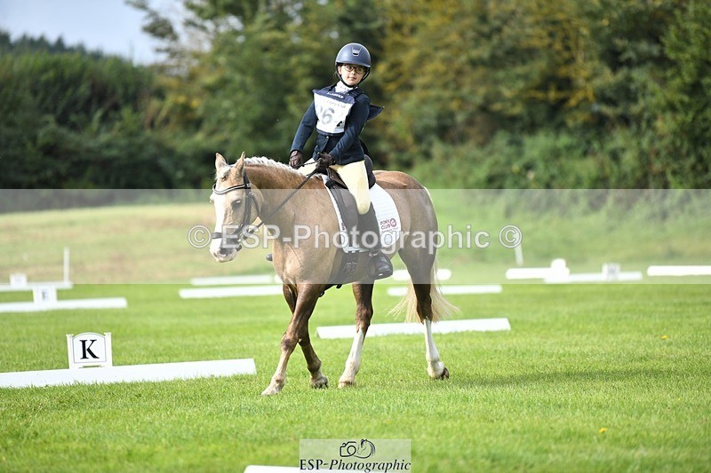 230826-102413-15466 - Sections C & D 10 to End