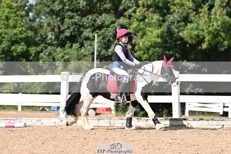 250821B-150253-00908 - Group D - Thomasina