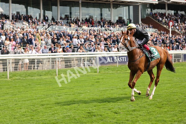 yr20082021r2-74 - Race 2 2.25pm Weatherbys Hamilton Lonsdale Cup (British Champion Series race)