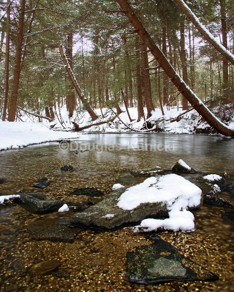 Two Mile Run - Fall and Winter